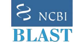 NCBI Blast